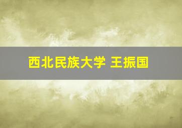 西北民族大学 王振国